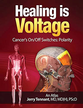Healing Is Voltage, the book cover